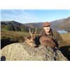 Image 3 : Scotland Roe Deer Hunt for 1 hunter