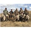 Image 2 : 3-day Kansas Waterfowl Hunt for 5 hunters.