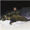 Image 2 : 3-day Giant Boar Hunt in UP Michigan for 1 hunter