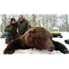 Image 1 : 10-day Kamchatka Brown Bear for 1 Hunter