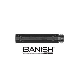 Banish 22 suppressor