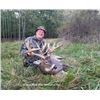 Image 3 : Northeastern Whitetail Deer for 2 Hunters