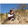 Image 3 : 5-day Muzzleloader only Coues Deer hunt in Arizona for 2 hunters