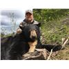 Image 1 : 5-day Black Bear Hunt in British Columbia for 1 hunter