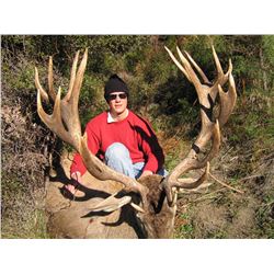Red Stag Hunt in New Zealand