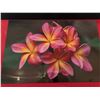 Image 1 : Pupule Plumeria Metal Print