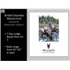 Image 1 : 7 Day British Columbia Moose Hunt For 1 Hunter, Guided 1 On 1