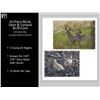 Image 1 : Archery Mule Deer Hunt And Upland Bird Hunt