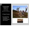 Image 1 : 5 Day Scotland Red Stag Hunt For 1 Hunter