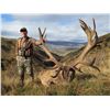 Image 1 : Adult/Youth New Zealand Red Stag Hunt