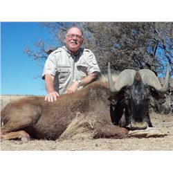 Richard Holmes Safaris