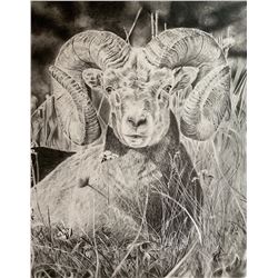 Ram Drawing – Ryan Straw