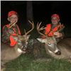 Image 1 : Buck Chasers