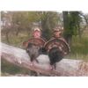 Image 1 : Nebraska Turkey Hunt