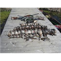 European Hunting adventures