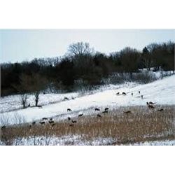 Reinemann Hunting Lodge