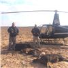 Image 1 : Air Wolfe Heli Hog Hunt