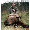 Image 1 : Kodiak Island Brown Bear Hunt