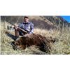 Image 2 : Kodiak Island Brown Bear Hunt