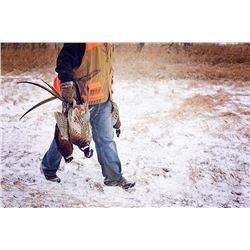 Extreme Pheasant Outfitters