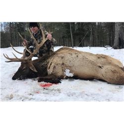 Tony’s Trophy Elk Hunts