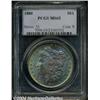 Image 3 : 1880[S$1] MS65 PCGS.