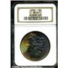 Image 3 : 1886[S$1] MS67 NGC.