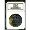 Image 4 : 1886[S$1] MS67 NGC.