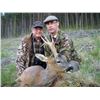 Image 3 : Scotland Estate Roe Deer Hunt