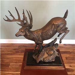 Whitetail Bronze Sculpture