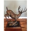 Image 3 : Whitetail Bronze Sculpture
