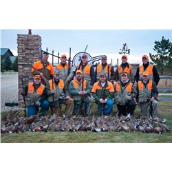 Cheyenne Ridge Pheasant Hunt, South Dakota