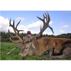 Scotland Red Stag Hunt