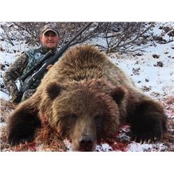 Alaska Grizzly Bear Hunt