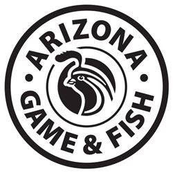 Commissioner’s Tag: Javelina