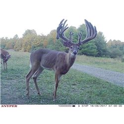 Ohio Whitetail for Two