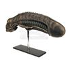 Image 12 : ALIENS (1986) - SFX Xenomorph Creature Head