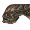 Image 13 : ALIENS (1986) - SFX Xenomorph Creature Head