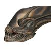 Image 17 : ALIENS (1986) - SFX Xenomorph Creature Head