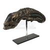 Image 1 : ALIENS (1986) - SFX Xenomorph Creature Head