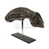 Image 2 : ALIENS (1986) - SFX Xenomorph Creature Head