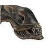 Image 3 : ALIENS (1986) - SFX Xenomorph Creature Head