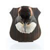 Image 2 : BATMAN RETURNS (1992) - Penguin Head Maquette