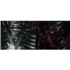 Image 17 : BLADE: TRINITY (2004) - Drake's (Dominic Purcell) Transformation Costume Display