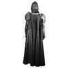 Image 9 : THE CHRONICLES OF RIDDICK (2004) - Necromonger Captain Costume and Hero Pistol