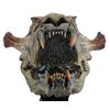 Image 12 : HELLBOY (2004) - Sammael Animatronic Creature Head