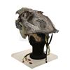 Image 19 : HELLBOY (2004) - Sammael Animatronic Creature Head