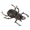 Image 2 : INDIANA JONES AND THE TEMPLE OF DOOM (1984) - Banquet Beetle
