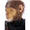 Image 12 : PLANET OF THE APES (2001) - Armoured Chimp Costume Display