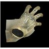 Image 8 : POLTERGEIST (1982) - Poltergeist Reference Hand